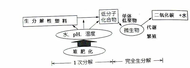 可生物降解環(huán)保塑料可以回收再利用嗎？(圖3)