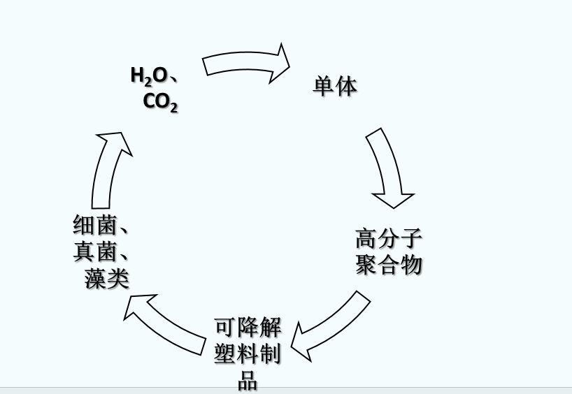 什么是可生物降解塑料？(圖1)